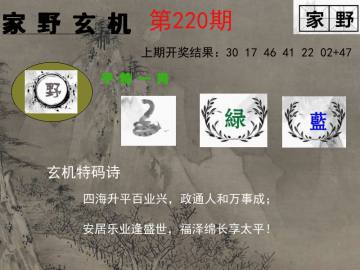 家野玄机 220期