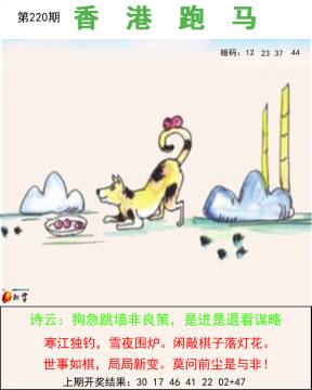 跑马图 220期