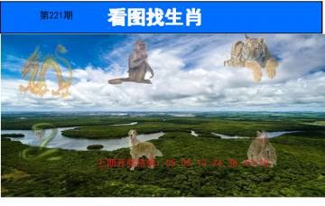 看图找生肖 221期