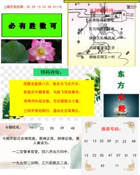 东方心经 221期