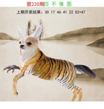四不像中特 220期