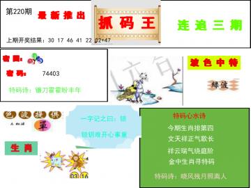 抓码王 220期