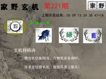 家野玄机 221期