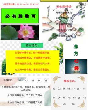 东方心经 220期