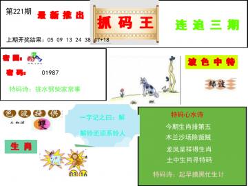 抓码王 221期